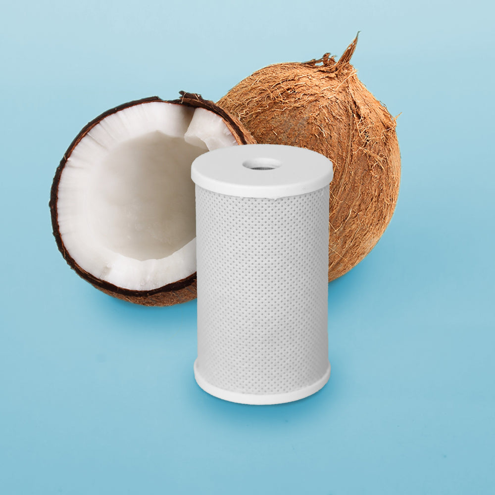 Offene Kokosnuss mit Aktivkohleblockfilter eines TAPP Water EcoPro Wasserhahnfilters
